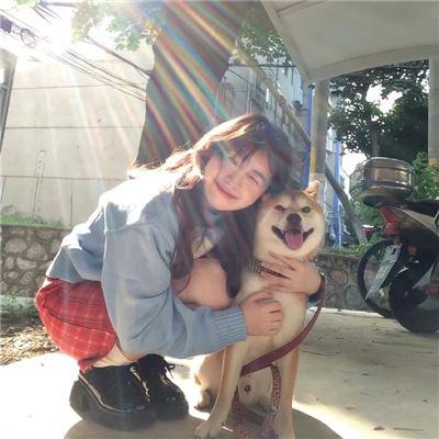 爆笑虫子之冒险岛大电影